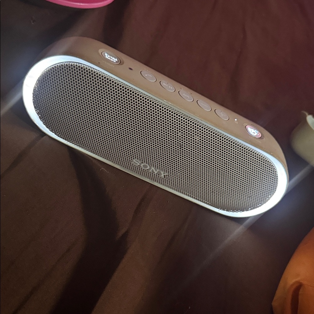 Sony Gray Bluetooth Speaker with LED Accents